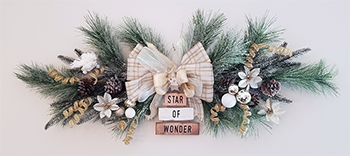 Star of Wonder $25